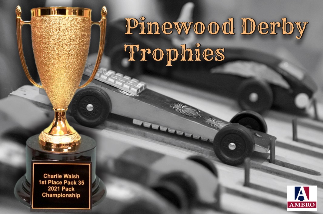 Pinewood Derby Trophies