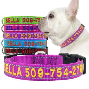 Customized Dog Collars